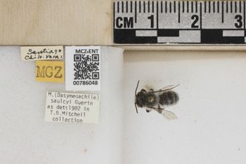 Media type: image;   Entomology 786048 Aspect: Labels